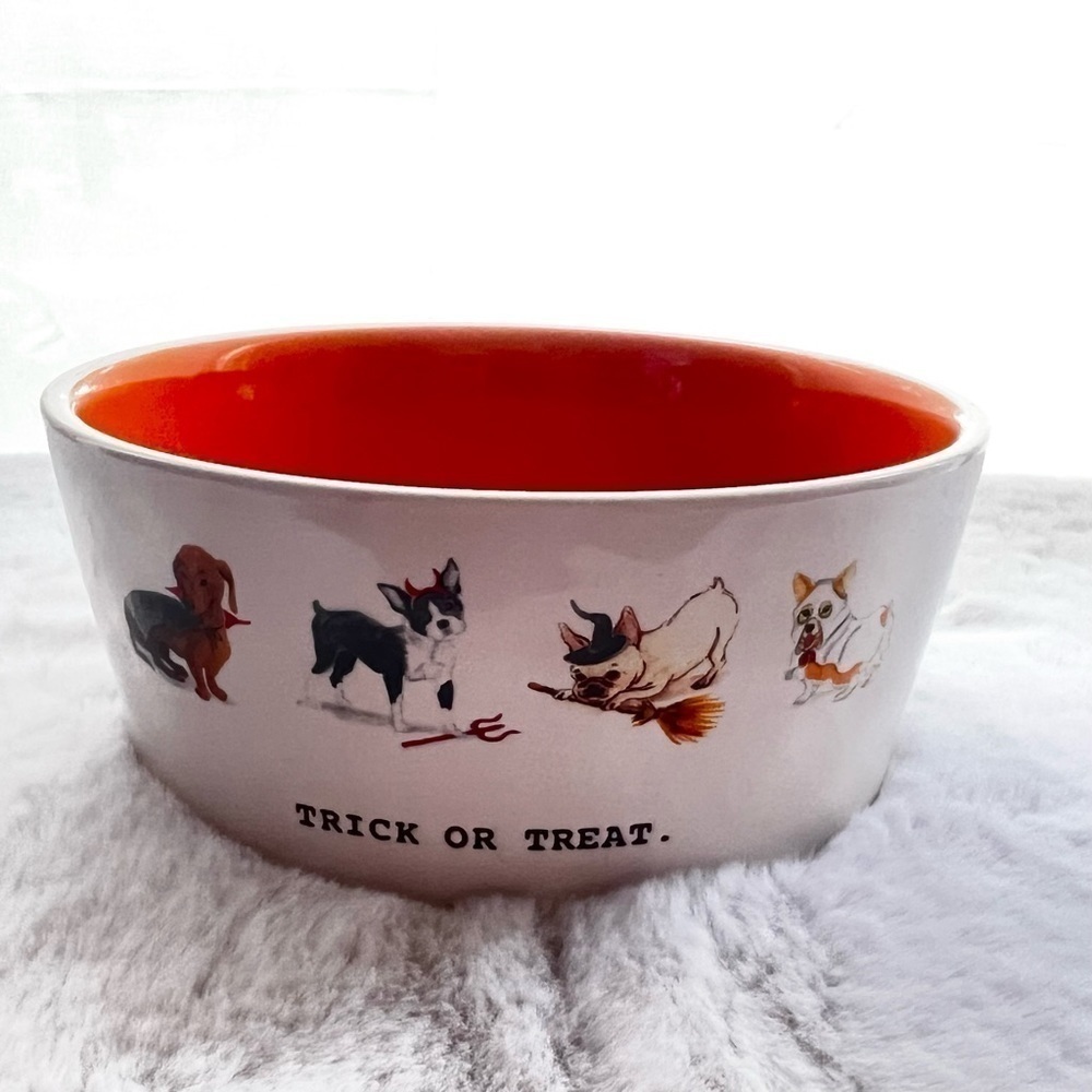 Dog Lover’s Halloween Collection - Water bowl, treat jar, and leash tray - Picture 7 of 16
